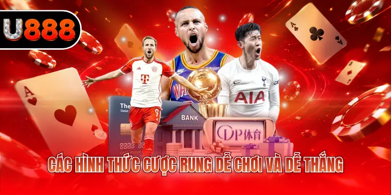 Các hình thức cược rung dễ chơi và dễ thắng