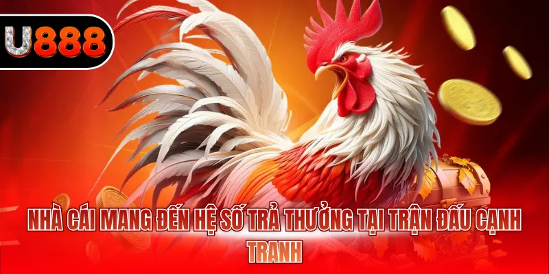 Nhà cái mang đến hệ số trả thưởng tại trận đấu cạnh tranh