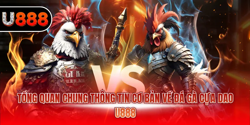 Tổng quan chung thông tin cơ bản về đá gà cựa dao U888
